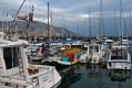 493_Madera_marina w Funchal